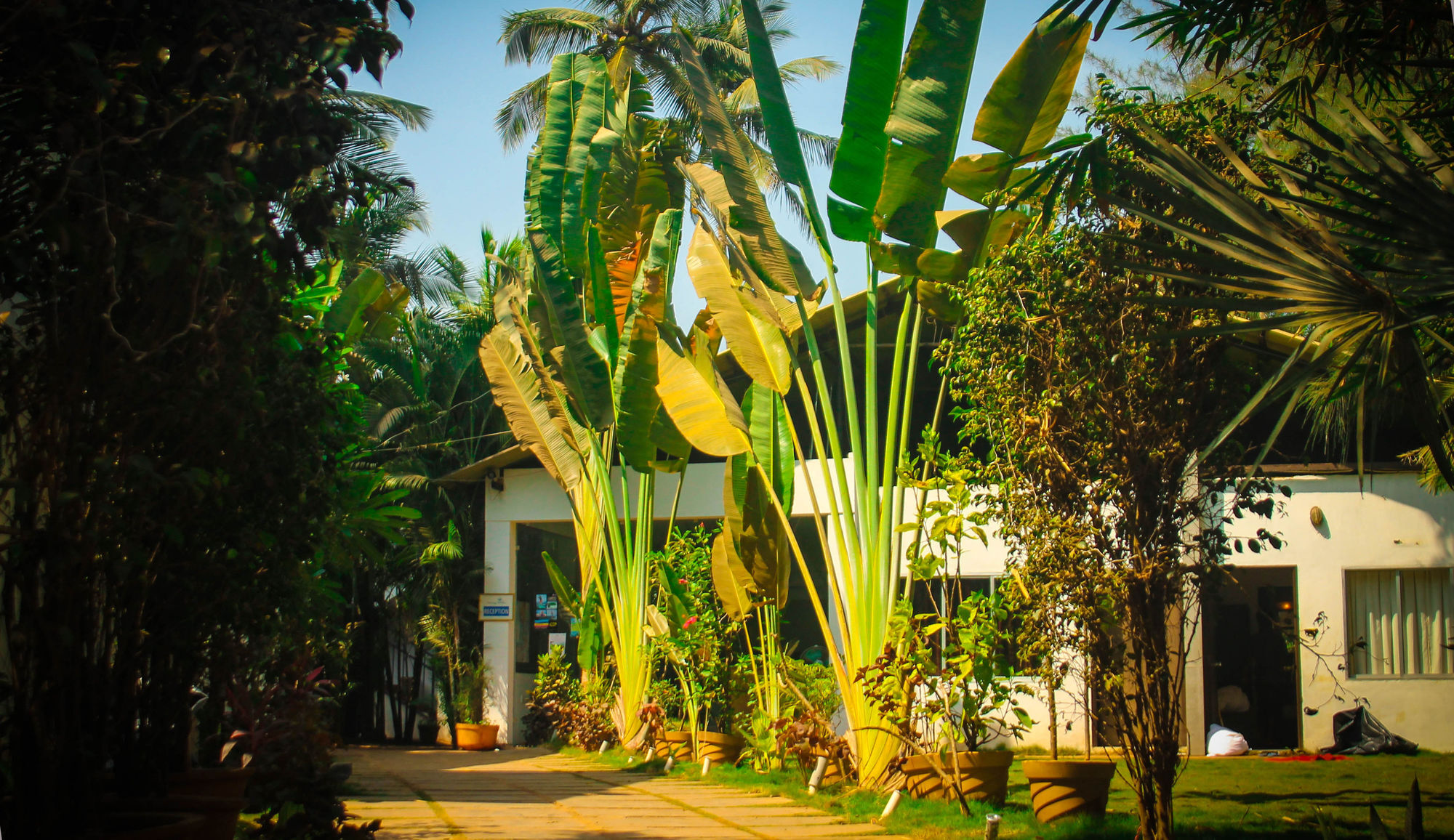 Rococco Ashvem Mandrem Exterior foto